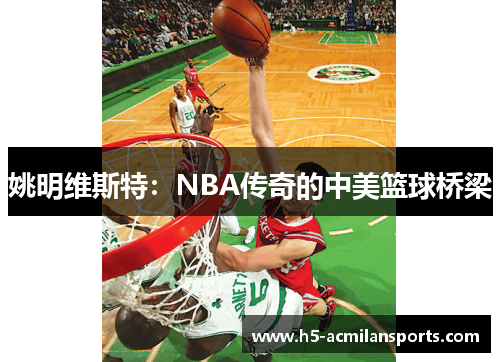 姚明维斯特：NBA传奇的中美篮球桥梁